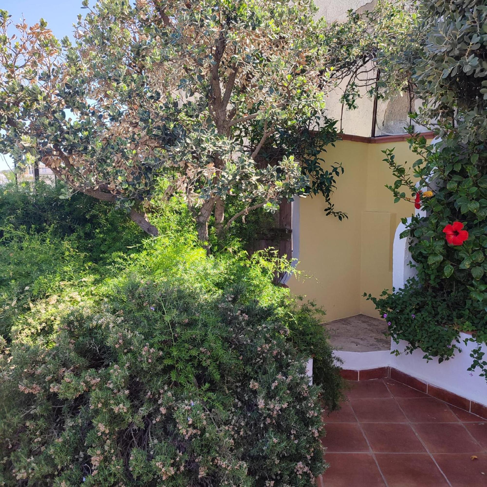 Hotel Villa Verde Forio di Ischia Extérieur photo